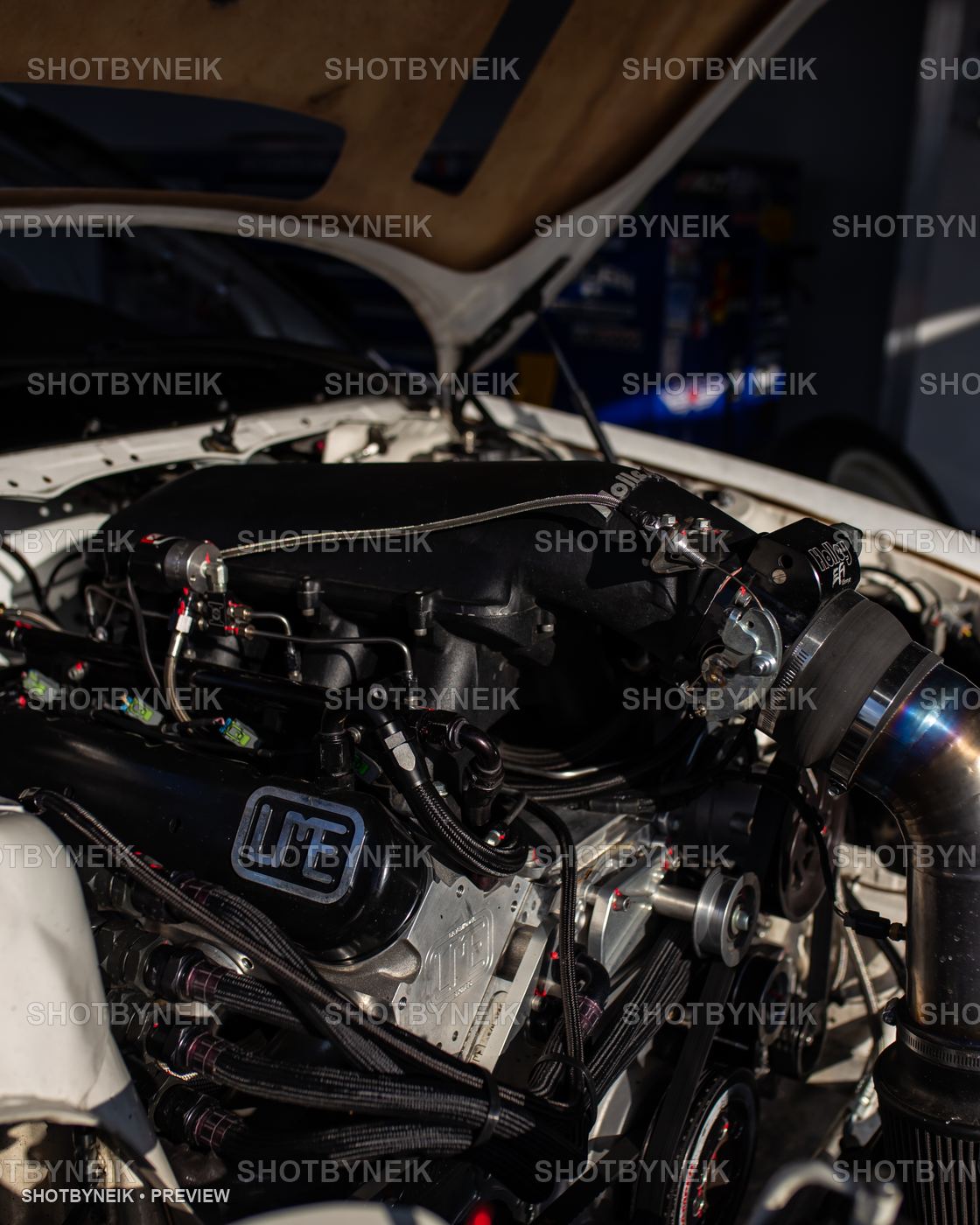 FD 25 — IMG_1053